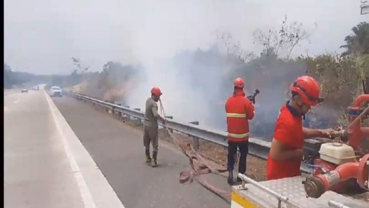 Damkar South Lampung在Km 54收费公路上扑灭了陆地火灾