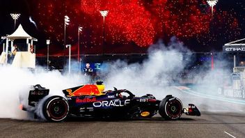Max Verstappen Menutup Musim dengan Kemenangan di Grand Prix Abu Dhabi