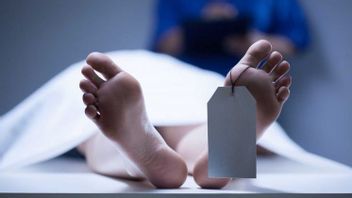 Accelerate Obtaining Identity Of 4 Headless Bodies, Lampung Police Provide Hotline Via WA