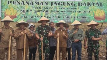 Lahan Rawan Kebakaran di OKI Diminta Ditanam Saja Jagung