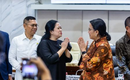 Pimpin Rapat Soal Calon Dewas LPI, Puan Bicara Pentingnya Kapasitas Pembiayaan Pembangunan Nasional