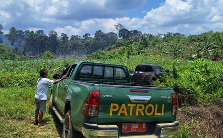 Dishut Kaltara Temukan Perambahan Hutan Sajau, Ganggu Kehidupan Suku Punan Batu Benau Sajau 