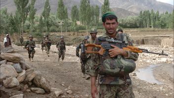 Reply To US Airstrikes: Taliban Increase Attacks On Major Cities, Targeting Kandahar And Herat