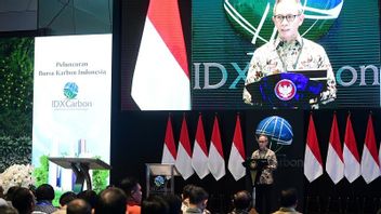 OJK老板:印尼碳交易所是世界上最重要的交易所之一