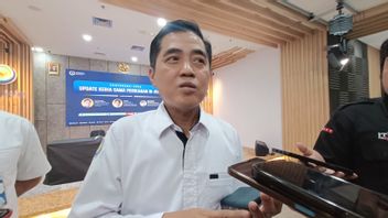 MBG计划中鱼乳进入潜力尚未由Prabowo过渡团队讨论,这是KKP的回应