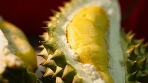 Kaya Nutrisi, Ketahui Manfaat Buah Durian bagi Ibu Hamil