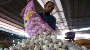 KPPU Asks Bapanas To Immediately Set HET Garlic