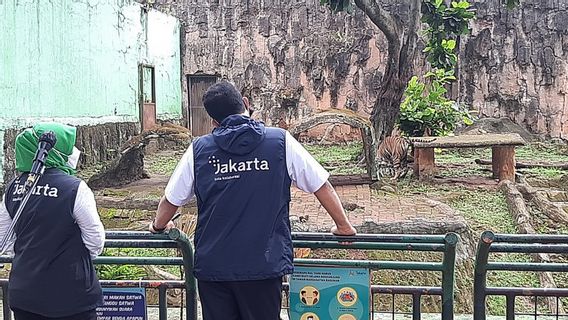 Selain Harimau Hari dan Tino, Pengelola Ragunan Pastikan Tak Ada Satwa Lain Terpapar COVID-19