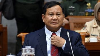 Prabowo And Chinese Defense Minister Discuss Increasing Military Cooperation