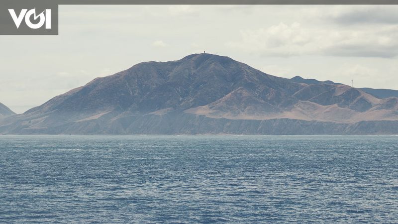 New Zealand Ferry Runs Aground, No Injured Victims