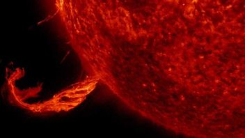 The Explosion Of The Young Sun Is A Warning To Earth, Here's The Impact!