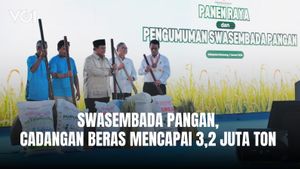 Presiden Prabowo Bangga, Indonesia Bisa Kembali Swasembada Pangan dalam Satu Tahun