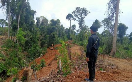 Tak Melindungi Hutan di Mukomuko, PT Anugerah Pratama Inspirasi Disanksi Teguran dari KLHK