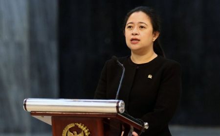 Bukan Megawati, PAN Tak Masalah Pertemuan Antar Ketum Diwakili Puan Maharani