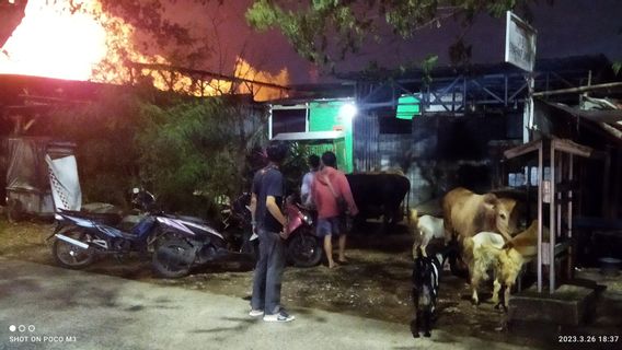 Lapak Hewan di Duren Sawit Terbakar, 132 Kambing Mati Terpanggang