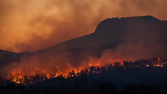 Melihat Langkah Nyata Pemimpin Dunia Melawan Perubahan Iklim