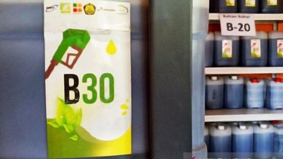 Turun 10,9 Persen, Harga Indeks Pasar BBN Biodiesel Bulan Juni Rp10.234 per Liter