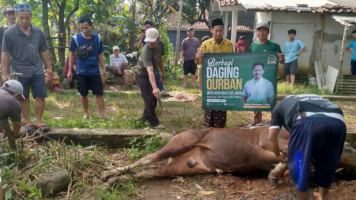 Tommy Kurniawan Kurban Sapi dan Kambing di Bogor, Amanah dari Tanah Suci Iduladha 1446 H