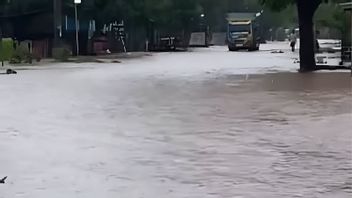 NTBのタンボラ山の斜面での住民の浸水、住民は物流支援を必要とする