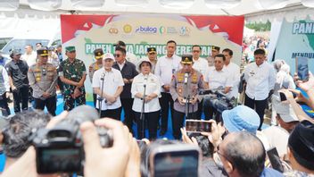 トウモロコシ収穫第3四半期、警察署長:世界の食品納屋の実現へのコミットメント