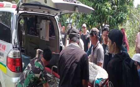 Tim Gabungan Evakuasi 6 Korban Tewas Akibat Tambang Emas Longsor di Kotabaru Kalsel