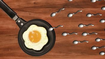 10 Makanan Penyubur Sperma dari Bahan Organik