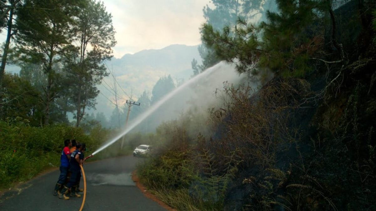 Tiga Hektare Lahan di Aceh Tengah Terbakar