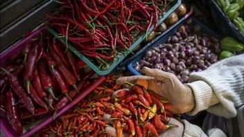 Harga Cabai hingga Bawang di Jakarta Naik Jelang Iduladha, Pemprov DKI Minta Warga Tak Panic Buying 