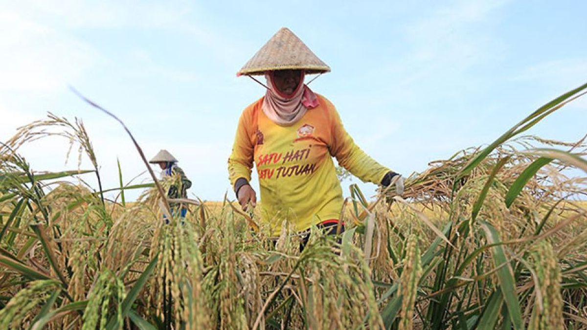 Heat Up Commitments To Improve The Welfare Of Farmers And Breeders