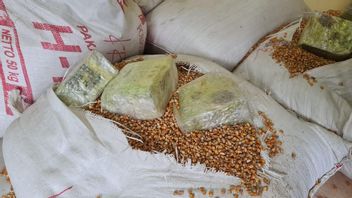 Stockée Dans Des Sacs, Méthamphétamine Introduite En Contrebande à Banjarmasin Pesant 200 Kg