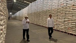 Mendag Lutfi Coreng Muka Jokowi di Wacana Impor Beras, Sekjen PDIP: Harusnya Eksportir Beras