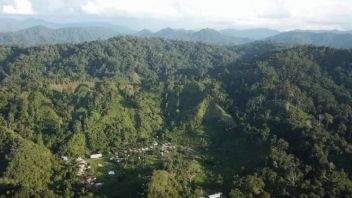The Promise Of The Governor Of North Kalimantan: Will Give Incentives For People Who Protect Forests