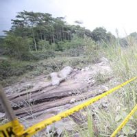 BNPB: Perlu Ada Jalur Evakuasi bagi Warga dan Ternak ketika Aktivitas Semeru Meningkat