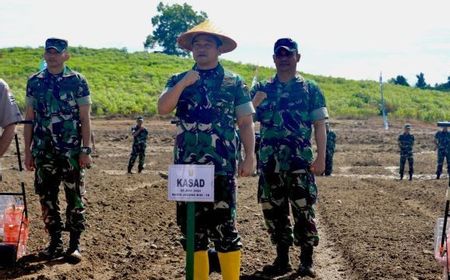 KSAD Tunjuk  Banjarbaru dan Sukabumi Jadi Percontohan Lahan Ketahanan Pangan