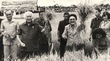苏哈托总统在今天的历史上获得粮农组织颁发的金质奖章，1986年7月21日