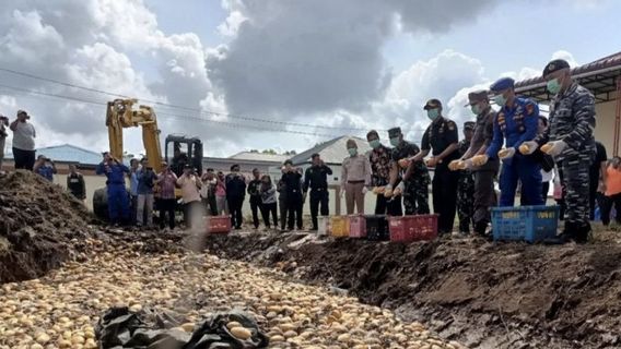 Bea Cukai Bengkalis Musnahkan 19,8 Ton Buah Mangga Asal Malaysia