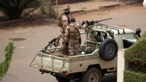 30 Gerilyawan Radikal Tewas dalam Operasi Gabungan Satuan Tugas Prancis dan Mali
