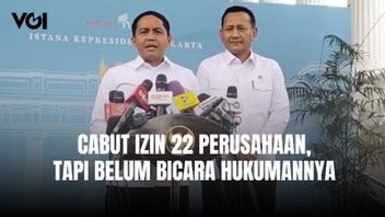 Menhut Raja Juli Cabut 22 Izin Perusahaan, Belum Tegaskan Hukuman bagi Pelanggar