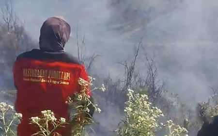 Karhutla di Taman Nasional Bromo Tengger Semeru Berhasil Dipadamkan