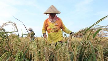 Bapanas s’engage à améliorer le bien-être des agriculteurs et des agriculteurs