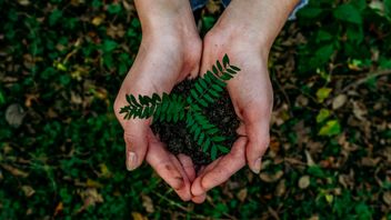 Z ne suffit pas à prendre des mesures contre l'environnement