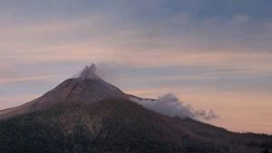 Gunung Lewotobi Laki-laki Muntahkan Abu Capai 200 Meter