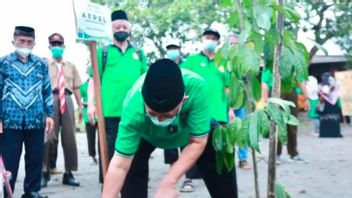 Berita Yogyakarta: DPP LDII Menanam Ratusan Pohon Kepel Di Yogyakarta