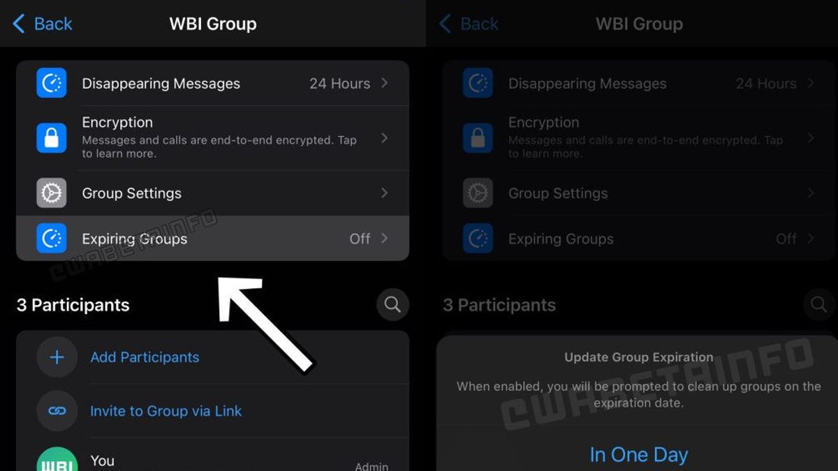 WhatsApp正在开发过期的群组功能，用户可以设置自己的日期！