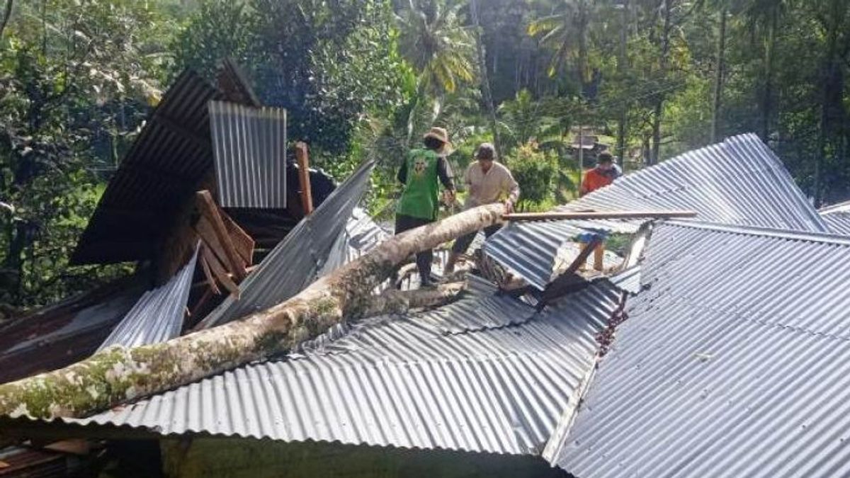Jelang Akhir Pekan, BMKG Minta Warga NTB Waspadai Angin Kencang Berisiko Pohon Tumbang 