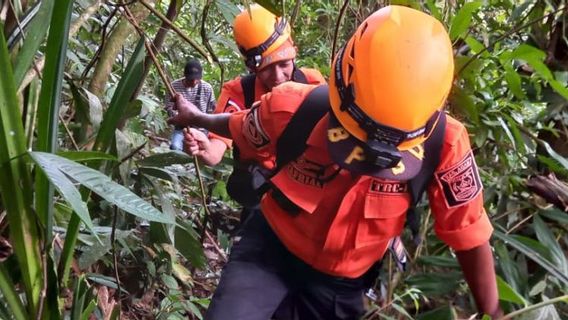 BPBD Agam Kerahkan Puluhan Personel Cari Seorang Kakek yang Hilang