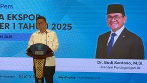 Pelonggaran Impor Food Tray Diprotes Pengusaha, Mendag: Kebutuhan Kita Banyak