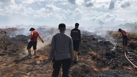 罗希尔的一名土地焚烧者,使3公顷的面积被烧毁,被警方逮捕