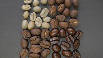 Difference Between Light Roast And Dark Roast Coffee, Which One Do You Like?