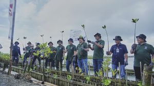 BNI-AM dan BNI Tebar 2.000 Bibit Mangrove untuk Bali